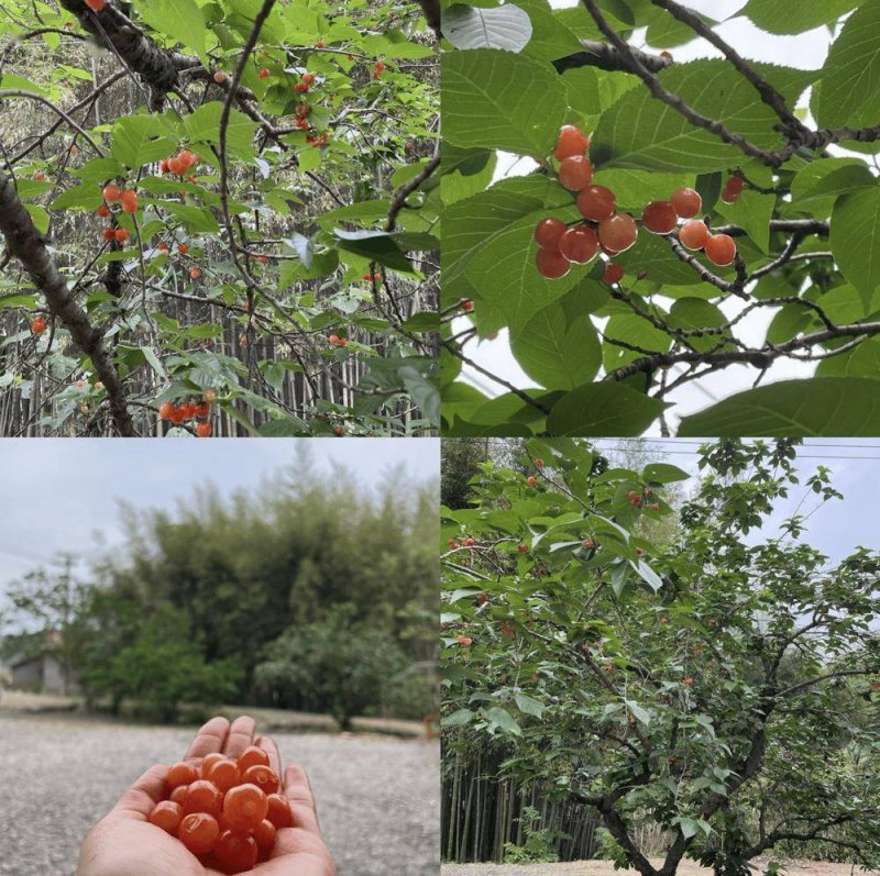 临汾剑指PM2.5达标，一场资源型都市的大考