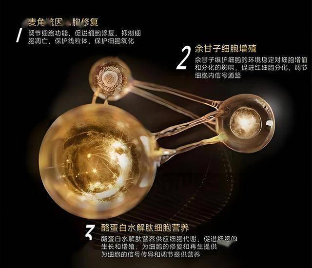 市县政法委联合开展党纪学习教育暨廉洁文化教育主题党日活动 宿松资讯网