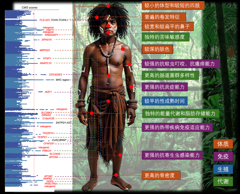 不得强制刷脸！新规施行：人脸数据存储达10万人的，需备案